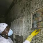 mold removal