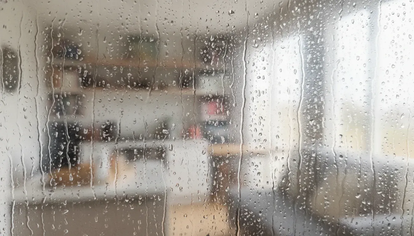 How to Get Rid of Condensation at Home: 8 fixes to reduce indoor moisture buildup